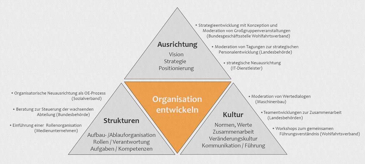 Grafik Situative Organisation